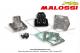 Boite  clapets d'admission MALOSSI - VL7 - pour Peugeot XP
