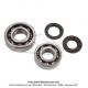 Roulements de vilebrequin (de carters moteur) SKF 6203 QE6 (17x40x12) (x1pc) + SKF 6204 QE6 (20x47x14) (x1pc) + Joints spi 20x30x4.5 (x1pc) + Ø16x30x4.5 (x1pc) pour Peugeot 101 / 102 / 103 / 104 / 105 / GT10 / GL10 / Country / BB (...)