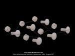 Vis + Ecrou plastique - M5 - pour Mobylette MBK 51 CF 1985 / 1987 (x6 paires)