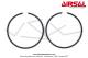 Segments Airsal 40x1mm - Chroms - Ergotage interne - pour Peugeot FOX / FXR (la paire)