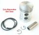 Piston Jupe Longue complet pour SoleX 41.5mm