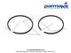 Segments 40 x 1,5 - Fonte - Parmakit - pour kits Parmakit pour Peugeot 103 (la paire)