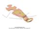 Cl plate mtal pour crous de vlo (5 tailles) - PAVSE France