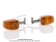 Clignotants chroms - adaptables - avec supports - pour Mobylette Motobcane / Motoconfort D55