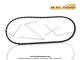 Courroie crante Malossi Special Belt (15,5x8,5x1163 mm) pour Peugeot 103 FOX / FXR