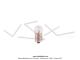 Ampoule 12V 5W (BA15S) NEOLUX 