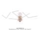 Ampoule 12V 5W (BA15S) OSRAM Graisseur