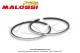 Segments de piston Malossi - 40x1,5mm - KDN5 - Fonte - Chrom - pour Peugeot 103 (x2 pcs)