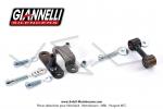 Pot d'chappement Giannelli Black Gun - Black Edition - Cartouche Alu + rotule pour Mobylette Motobcane MBK 51