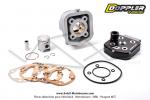 Cylindre / Piston / Culasse (Kit) Doppler ER1 - 39mm - 50cc - T6  boosters - pour Mobylettes MBK 51 (AV10)  refroidissement liquide H2O