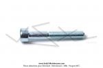 Vis de biellette de fixation de pot d'chappement NINJA (M6x40)