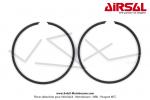 Segments Airsal 40x1mm - Chroms - Ergotage interne - pour Peugeot FOX / FXR (la paire)