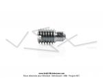 Vis de poigne 6x100 Ancien Modle Motobcane Motoconfort