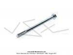 Axe suprieur d'amortisseurs (Vis) pour Peugeot 103 SP / MVL