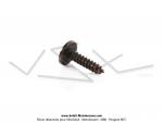 Vis de carnage universel 4x14mm 