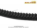 Courroie Malossi Renforce Special (13,4 x 6,5 x 1060 mm) - Angle 34 pour Piaggio Bravo / Superbravo