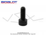 Vis de guidage - 5x12 - pour variateur BIDALOT G1 / G2