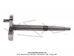 Vilebrequin - Usin dans la masse - pour SoleX 3800 / 5000 / PliSoleX / Micron