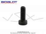 Vis de fixation de guide - 6x15 - Tte basse - pour variateur BIDALOT G1 / G2