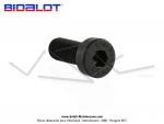 Vis de fixation de guide - 6x15 - Tte basse - pour variateur BIDALOT G1 / G2