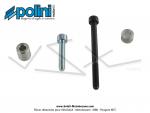 Pot d'chappement Serpentin - Polini Custom 3 - Gros Volume - pour Peugeot 103 SP / MVL / SPX / RCX (Article non homologu / Interdit sur voie publique / Rserv  un usage comptition sur voie prive)