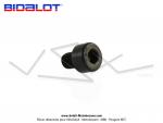 Vis de fixation de contrepoids - 4x5 - pour variateur BIDALOT G1 / G2 / G3 / G1 Junior / G2 Junior