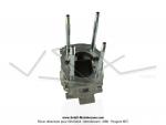 Carters moteur type M14 pour Mobylettes Motobcane 50EV (moteur AV14)