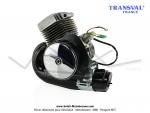 Moteur complet AV10 avec variateur Mobymatic - TRANSVAL - pour Mobylette Motobcane / MBK 51 / 41 / 881