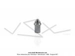 Ecrou d'axe de manette de gaz pour SoleX 2200 v1