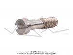 Vis de fixation de monogrammes de rservoir  Ttes de Gaulois - M3x0,6 - Lg. 11mm - pour Mobylette Motobcane / Motoconfort AV89  balancier (...) (x1pc)