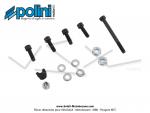 Carter moteur  nu  ASM Polini pour Peugeot 103 SPX / RCX (170.0090)