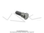 Axe de poulie de carburateur pour SoleX 3800 / Vis de phare pour SoleX 5000 et Flash (T.H. 10)