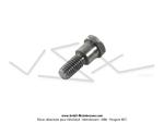 Axe de poulie de carburateur pour SoleX 3800 / Vis de phare pour SoleX 5000 et Flash (T.H. 10)