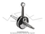 Vilebrequin (Embiellage) pour Peugeot BB CT / RS (Gros cne)