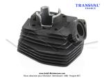 Cylindre / Piston - Transval - 40 - Grandes Ailettes -  Polygonal  - pour Peugeot 103 SP / MVL / SPX / RCX (...)