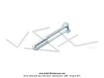 Axe de manette de gaz pour SoleX 1700 / 2200v1