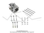 Carters moteur + Joints spi (x2) + Roulements (x2) + Goujons + Boulons - Origine Peugeot - pour Peugeot 101 / 102 / BB (...)