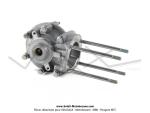 Carters moteur + Joints spi (x2) + Roulements (x2) + Goujons + Boulons - Origine Peugeot - pour Peugeot 101 / 102 / BB (...)