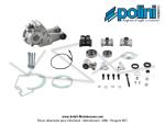 Carters moteur complet ASM Polini pour Peugeot 103 SPX / RCX (170.0080)