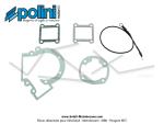 Carters moteur complet ASM Polini pour Peugeot 103 SPX / RCX (170.0080)