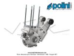 Carters moteur complet ASM Polini pour Peugeot 103 SPX / RCX (170.0080)