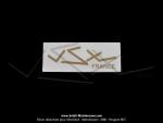 Autocollant  VSX France  - (12x4cm) - Or / Dor