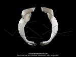 Carnages (Capotages - Caches) latraux Blancs pour Peugeot 103 SPX / RCX Phase 2 (la paire)