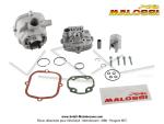 Cylindre / Piston / Culasse (Kit) GR2 - MALOSSI - 39 - 50cc - pour Mobylette Motobcane MBK 51 (AV10) Liquide Lc H2O