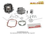 Cylindre / Piston / Culasse (Kit) GR2 - MALOSSI - 39 - 50cc - pour Mobylette Motobcane MBK 51 (AV10) Liquide Lc H2O