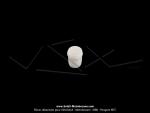 Bouton plastique de robinet d'essence (Manchon) - logo  M  - Crme - pour Mobylette Motobcane / Motoconfort 88 / 89 (...)