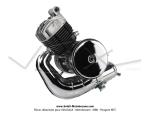 Moteur complet type MBK AV7 Mobymatic avec allumage lectronique type Moriyama (avec variateur Mobymatic / sans carburateur) pour Mobylette Motobcane Motoconfort MBK 88 (Culasse  fixation haute)