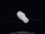 Borne Haute Tension (HT) NOVI - Blanche - pour Mobylette Motobcane / Motoconfort
