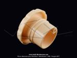 Bouchon de rservoir -  pousser - Blanc crme - 30mm - Officiel Motobcane - pour Mobylette Motobcane / Motoconfort