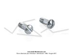 Vis de fixation de monogrammes longs de rservoir (Lot de 2)- M3x0,5 - Lg. 8,8mm - pour Mobylette Motobcane / Motoconfort (x2pcs)